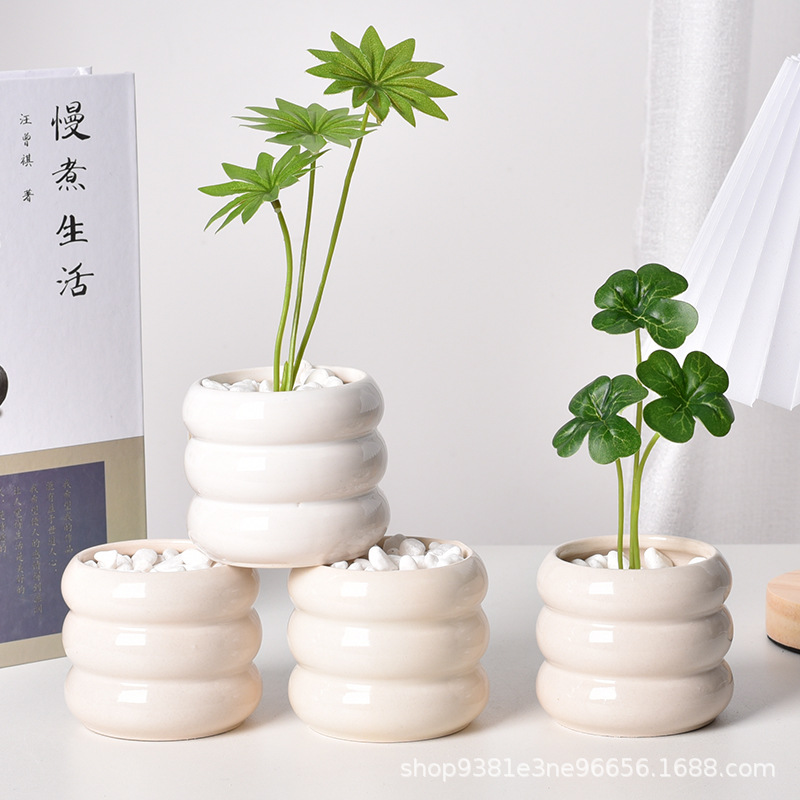 กระถางต้นไม้เซรามิกแบบรดน้ำเอง - Echeveria Succulent บทวิจารณ์และราคา