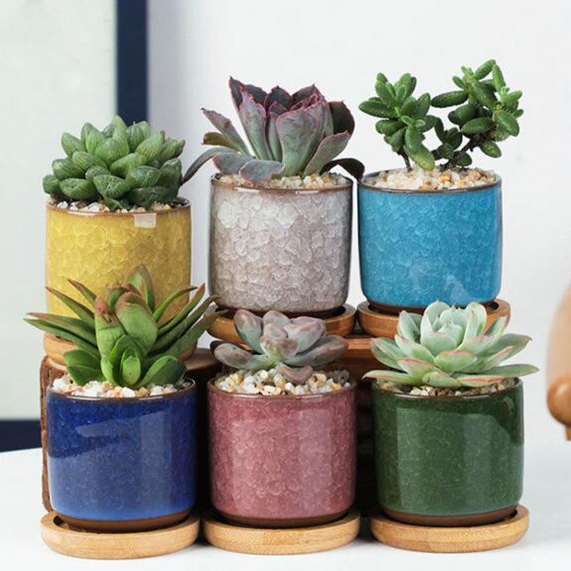 6 ชิ้น/เซ็ตเซรามิคชุดกระถางดอก - Echeveria Succulent บทวิจารณ์และราคา