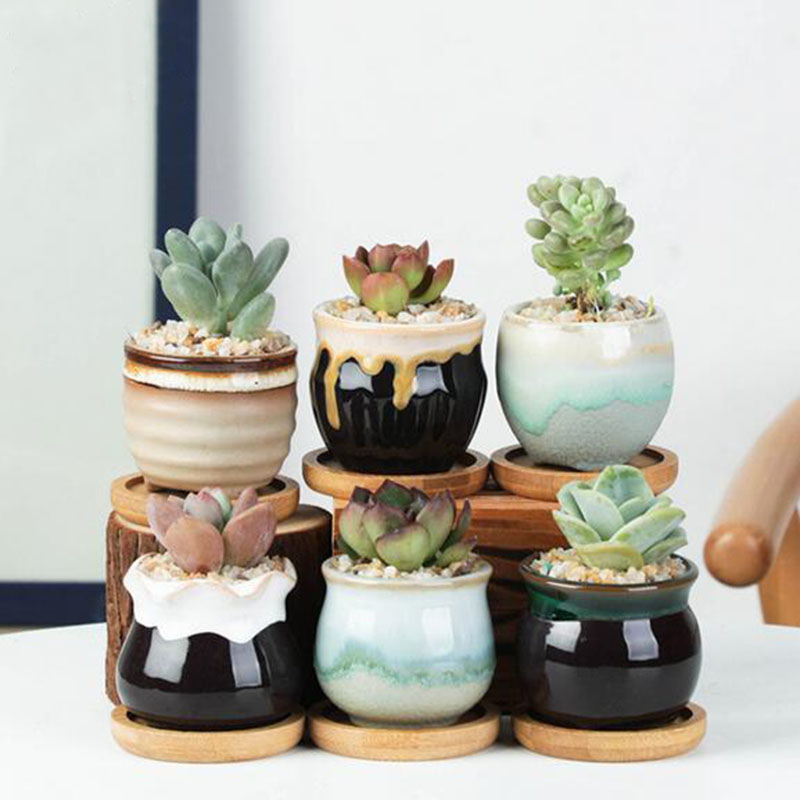 6 ชิ้น/เซ็ตเซรามิคชุดกระถางดอก - Echeveria Succulent บทวิจารณ์และราคา
